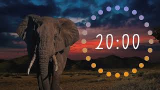 20 Minute African Animals Timer w Music and Alarm [upl. by Allebasi]