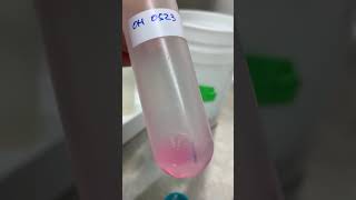 Safranin staining video [upl. by Aicnom]