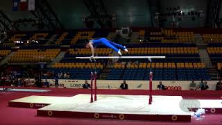 JURKOVIC Nikola SRB  2018 Artistic Worlds Doha QAT  Qualifications Parallel Bars [upl. by Guyer648]