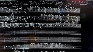 VIVALDI  Concerto RV 561 in C major  Manuscript copy [upl. by Fadil657]