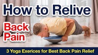 Back Pain Relief Exercises amp Stretches  10 Minutes Yoga for Back Pain  Samanabad Yoga Club [upl. by Franza251]