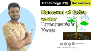 1112Removal of Extra Water  Homeostasis in Plants  10th Class Biology Punjab Textbook [upl. by Nagud]