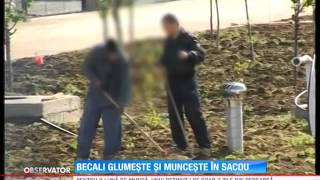 Gigi Becali sa prezentat în sacou în cea de a doua zi de muncă la Academia lui Hagi [upl. by Ellehcsor]