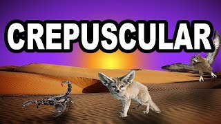 Learn English Words  CREPUSCULAR  Meaning Vocabulary with Pictures and Examples [upl. by O'Gowan]