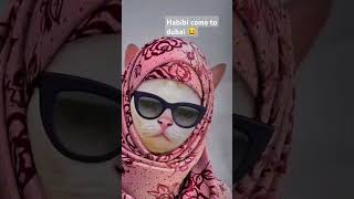 Dp collected from turtur ytshorts amazingcreation video love funny viralvideo cat memes [upl. by Ilyse119]