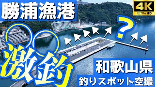 【勝浦漁港】めっちゃ便利！通年でアジが釣れる絶好ポイントあり。春秋はアオリイカ。車中泊も出来る至れり尽くせりの釣り場。那智勝浦町。釣りスポット空撮【和歌山県】4K [upl. by Cheria887]