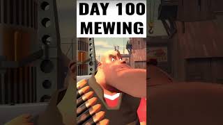 Mewing tf2 animation gmod meme [upl. by Lipinski14]