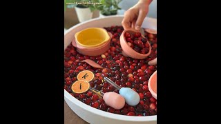 How to make a cranberry sensory bin for kids sensoryactivities sensorybin activitiesfortoddlers [upl. by Mihcaoj]