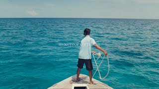 Secrets of Reethi Rah – Freediving in the Maldives [upl. by Ingamar62]