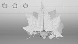 WIREFRAME TURN  insect 3D [upl. by Madella460]