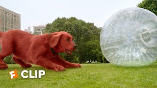 Clifford the Big Red Dog Exclusive Movie Clip  No Fetch 2021  Fandango Family [upl. by Mendez703]