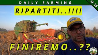 POSTALLUVIONE SI RIPARTE   CAMPAGNA INFINITA  DAILY FARMING EP 28 [upl. by Bertold320]