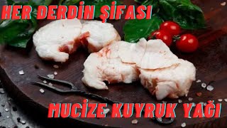 KUYRUK YAĞININ FAYDALARI  KUYRUK YAĞI NELERE İYİ GELİR  KUYRUK YAĞI ZARARLARI  KUYRUK YAĞI KREMİ [upl. by Sammie406]