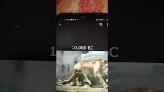 Saber toothed tiger scene 1000 bc scene smilodon [upl. by Hayarahs]