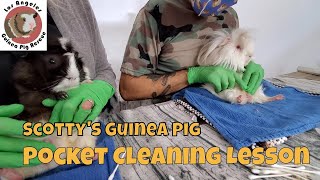 Saskia Teaches Male Guinea Pig Pocket Cleaning Technique to Scotty [upl. by Kass311]