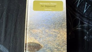 Buchrezension quotDer Steppenwolfquot von Hermann Hesse [upl. by Oswal]