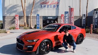 TAKING DELIVERY OF THE 2020 SHELBY GT500 MUSTANG [upl. by Brianna]