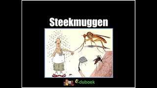 Steekmuggen groep 7 en 8 inkijkexemplaar [upl. by Klarrisa]