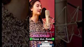 Nazrañ Lag Gaiyañ  Rahat Fateh Ali Khan  Sehar Gul Khan  Asim Raza  Super Hit OST ARY [upl. by Eniledam217]