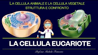 Com’è fatta la cellula La cellula Eucariote  Animale e vegetale a confronto [upl. by Manvil538]