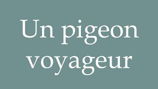 How to Pronounce Un pigeon voyageur A carrier pigeon Correctly in French [upl. by Johnstone207]