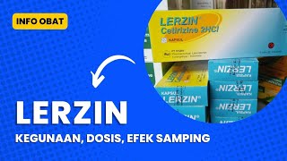 Obat Lerzin  Kegunaan Dosis Efek Samping [upl. by Eeznyl]