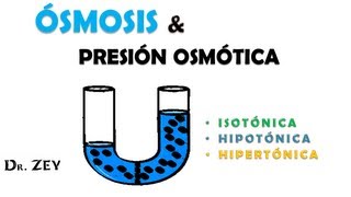 ÓSMOSIS Y PRESIÓN OSMOTICA [upl. by Resarf648]