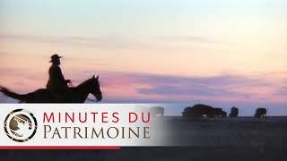 Minutes du patrimoine Joseph Tyrrell [upl. by Langston]