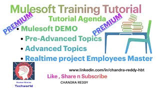 Mulesoft Demomulesoft Tutorial for beginnersMulesoft Basics to Pro Mulesoft Training Demo [upl. by Aicile]