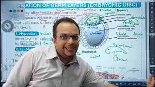 2nd week  Bilaminar Embryonic Disc [upl. by Weinstein198]