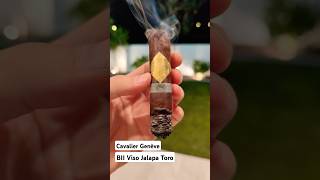 💨🔥CAVALIER Genève BII Viso Jalapa🌙 cigar cigars cigarlife lighter asmr shorts [upl. by Barbaresi]