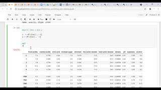 Overfitting in Decision Trees [upl. by Llyrehc]