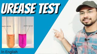 Urease test procedure in english  Biochemical test  urease agar [upl. by Alderman]