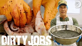 Mike Rowe Harvests Mississippi Caviar  Dirty Jobs [upl. by Smaoht]