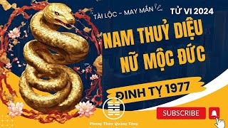 Đinh Tỵ 1977 Tử vi Đinh Tỵ 2024 Nam mạng nữ mạng Đinh Tỵ 1977 năm 2024 [upl. by Nylrebma439]