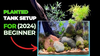 Ultimate Guide to Planted Tank Setup Step by Step Tutorial for Beginners [upl. by Cad]