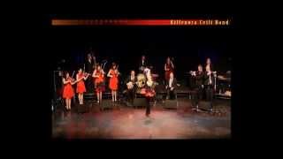 Kilfenora Ceili Band Easter Concert 2013 [upl. by Gillett43]