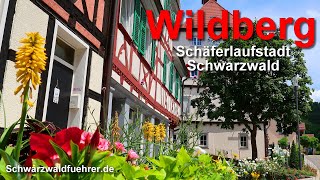 Schäferlaufstadt Wildberg [upl. by Esinrahc]