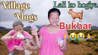 Aaj hamlog ka🐐 bakri ko Bimar hogiya hai 😭 uska bacha ko dud🍼 vi nahi pila raha hai 🐐 [upl. by Rayle]