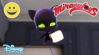 Miraculous Hemmeligheter  Plagg  Disney Channel Norge [upl. by Aicirtal]