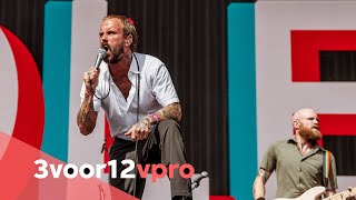 IDLES  Live at Pinkpop 2022 [upl. by Lechner304]