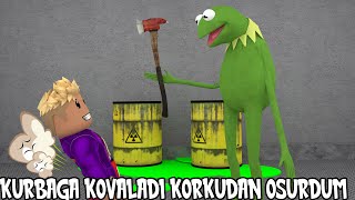 Kurbağa Kovaladı Korkudan Osurdum  Roblox Frogge [upl. by Ahsiekan986]