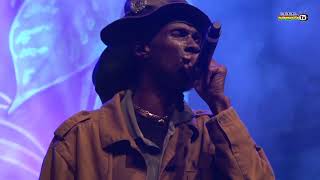 MIDNITEs singer VAUGHN BENJAMIN performs LOVE THE LIFE YOU LIVE live  Rototom Sunsplash 2014 [upl. by Genna]