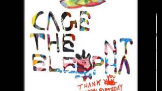 Cage The Elephant  Shake Me Down Lyricsletras [upl. by Nahtaoj]