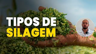 CONHEÇA OS DIFERENTES TIPOS DE SILAGEM [upl. by Inga]