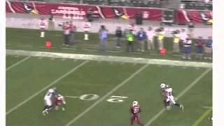 Brandon Browner Lays Out 3 Cardinals [upl. by Tarsus]