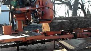 Start to Finish Sawing of Black Walnut Logs [upl. by Athelstan171]