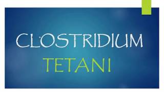 Clostridium tetani microbiology for dental students [upl. by Tlihcox277]