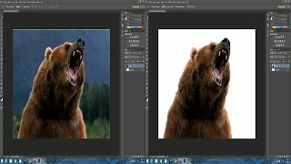 TUTO Comment détourer une image sur Photoshop [upl. by Oetomit957]