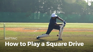 How to Play a Square Drive  Cricket [upl. by Delia]